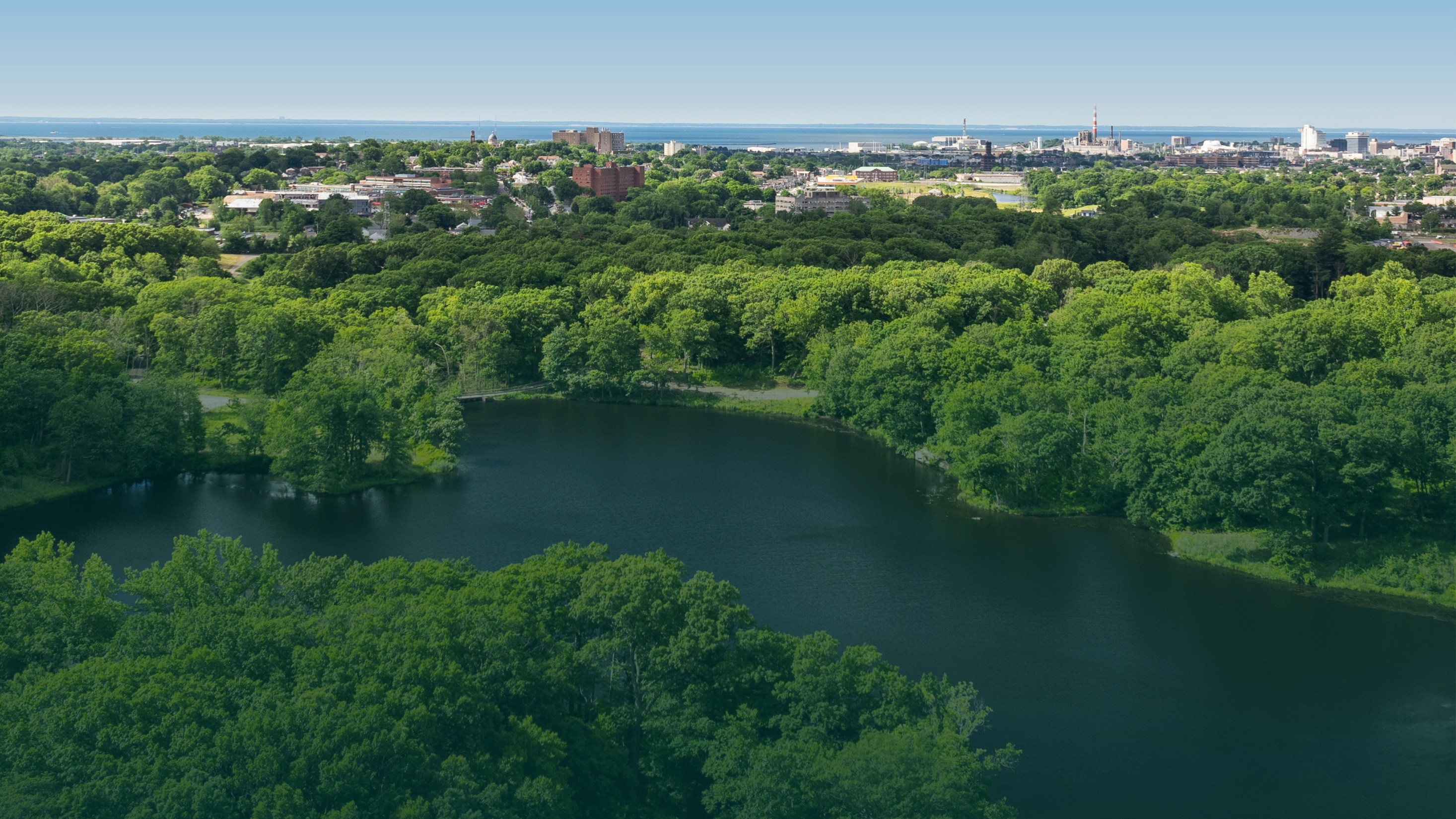 Lake Success Image